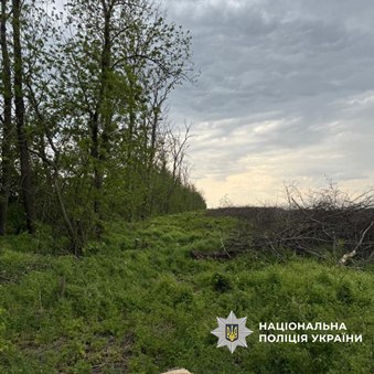 На Харківщині викрили «чорних лісорубів», які незаконно зрубали 639 дерев